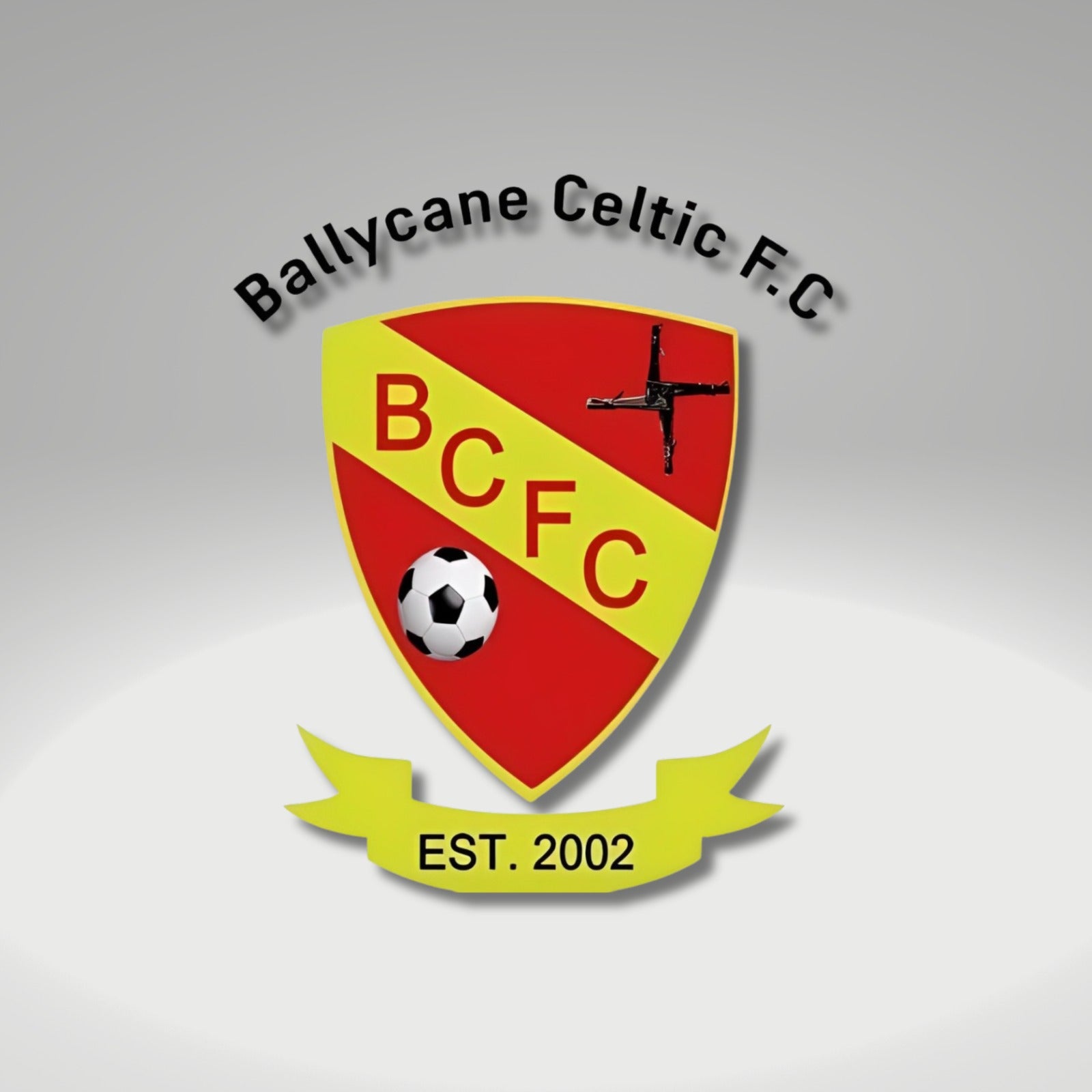 Ballycane AFC